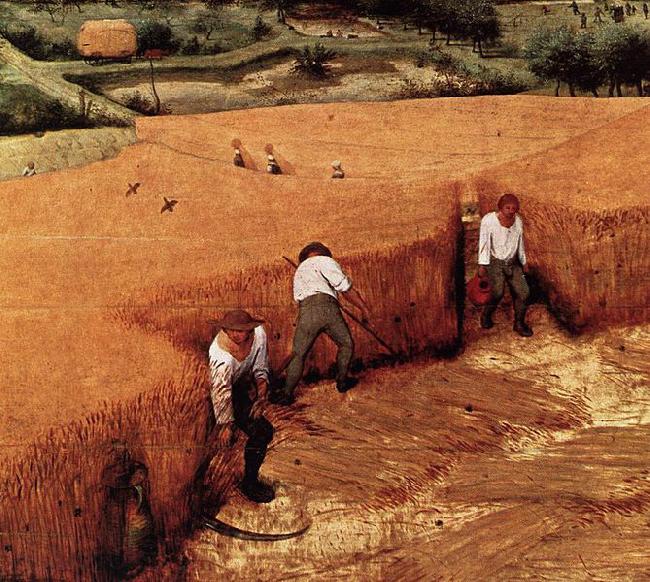 Pieter Bruegel the Elder The Corn Harvest Spain oil painting art